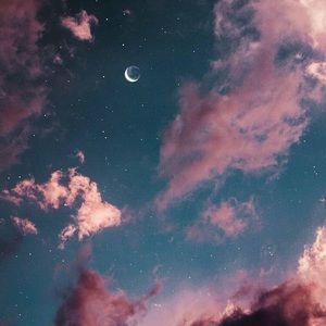 Meet your Posher, Zabdi